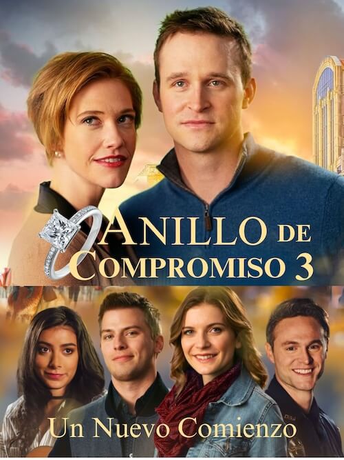 anillo 3
